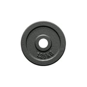 FitNord Vektskive 30 mm, Støpejern 1,25 kg 1