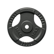 FitNord Vektskive med grep 30 mm, Støpejern 10 kg 1
