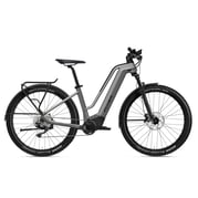 FLYER Goroc2 2.10 Elsykkel, Cast Silver/Black Gloss (Comfort)