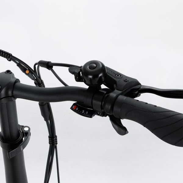 FitNord Rumble 150 Elfatbike 13