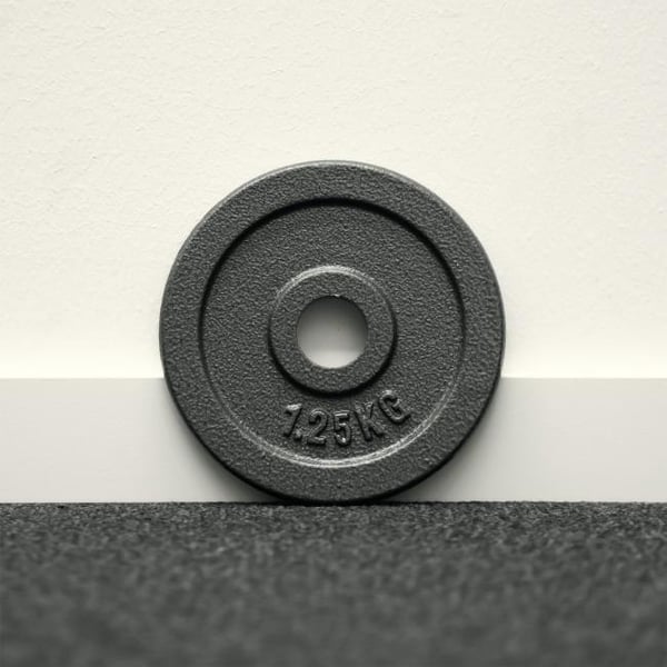 FitNord Vektskive 30 mm, Støpejern 1,25 kg 3