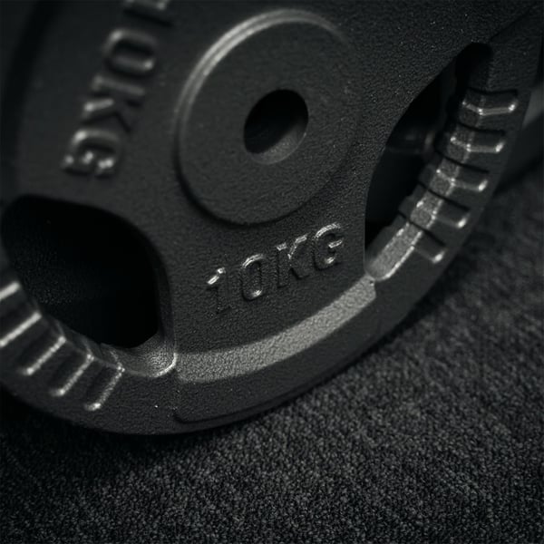 FitNord Vektskive med grep 30 mm, Støpejern 10 kg 4