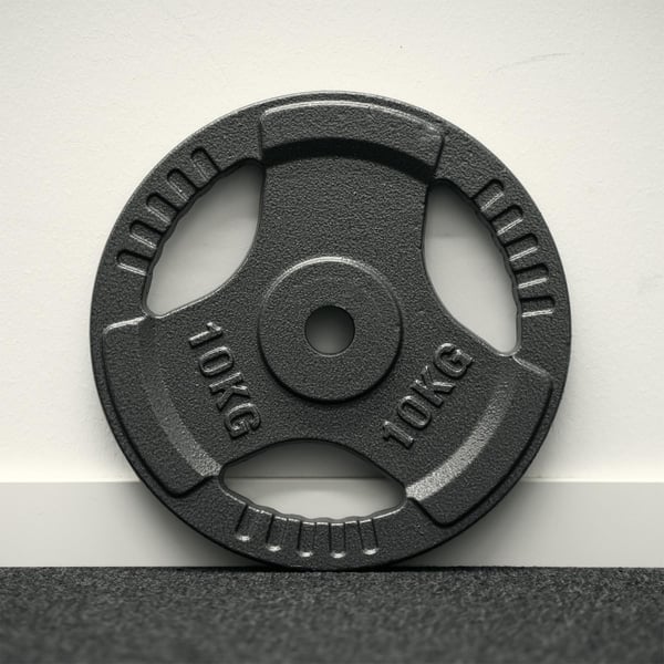 FitNord Vektskive med grep 30 mm, Støpejern 10 kg 3