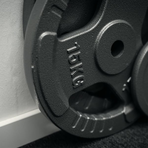 FitNord Vektplate med grep 30 mm, støpejern 15 kg 2