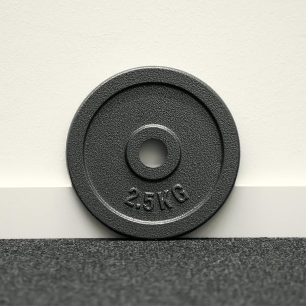 FitNord Vektskive 30 mm, Støpejern 2,5 kg 2