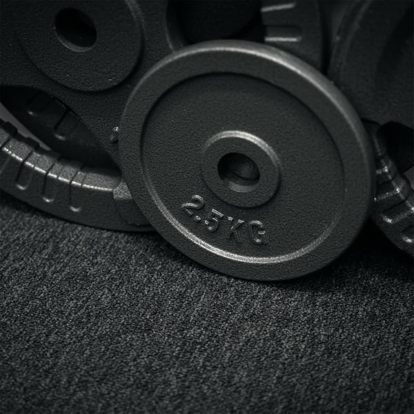 FitNord Vektskive 30 mm, Støpejern 2,5 kg 3