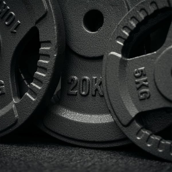 FitNord Vektskive med grep 30 mm, Støpejern 20 kg 2