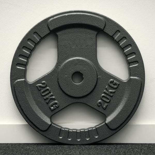 FitNord Vektskive med grep 30 mm, Støpejern 20 kg 3
