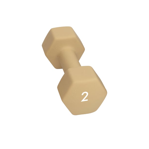 Abilica DumbBell 2 kg Manual 1