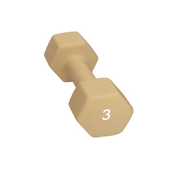 Abilica DumbBell 3 kg Manual 1