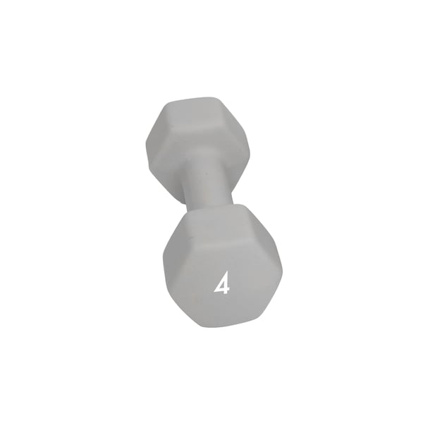 Abilica DumbBell 4 kg Manual 1