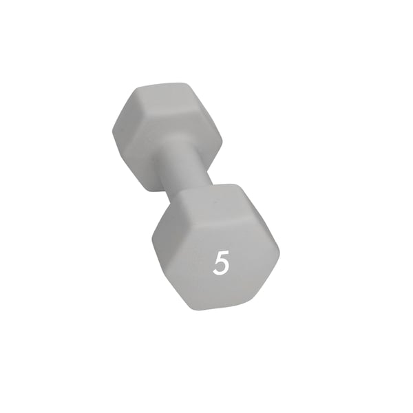 Abilica DumbBell 5 kg Manual 1