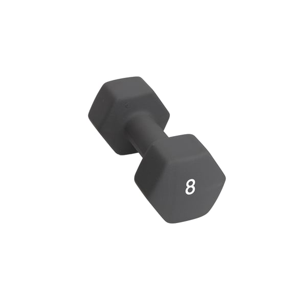 Abilica DumbBell 8 kg Manual 1