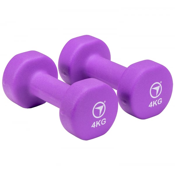 FitNord Vinylhantler 4 kg (par) 1