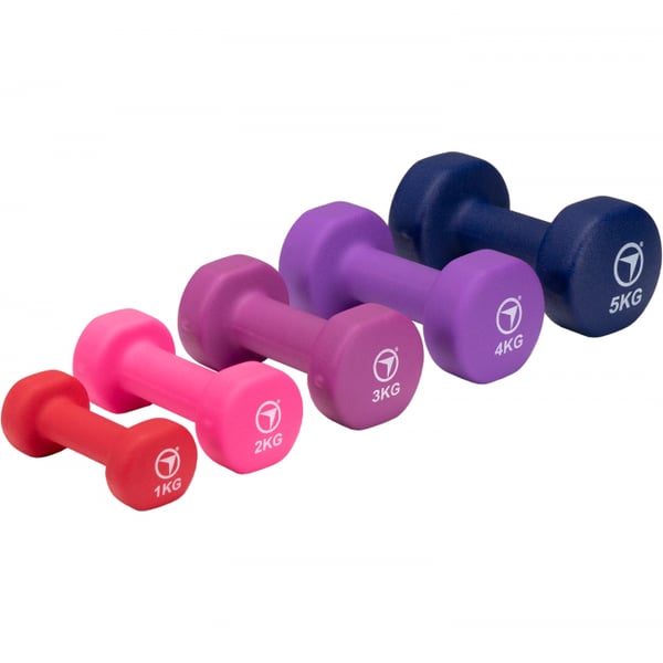 FitNord Vinylhantler 2 kg (par) 2