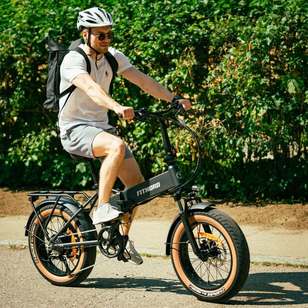 FitNord Rumble 150 Elfatbike