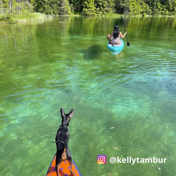 FitNord Aqua 300 SUP-brettsett, turkis
