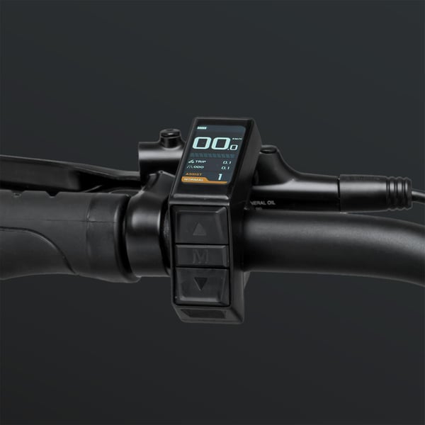 FitNord Ranger 200 Terrengelsykkel 2024, svart (540 Wh batteri/45 Nm)