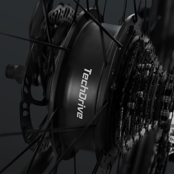 FitNord Ranger 200 Terrengelsykkel 2024, svart (540 Wh batteri/45 Nm)