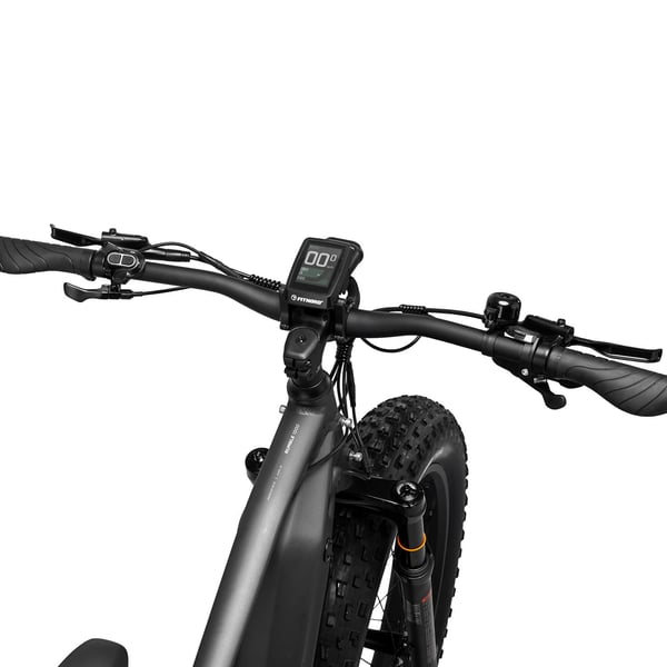 FitNord Rumble 1000 Elfatbike 2024, svart (856 Wh batteri/110 Nm)