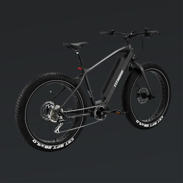 FitNord Rumble 500 Elfatbike 2024, svart (720 Wh batteri/80 Nm)
