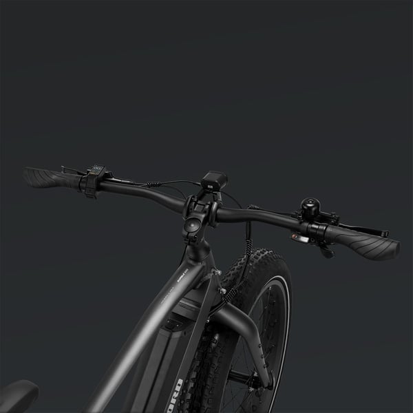 FitNord Rumble 500 Elfatbike 2024, svart (720 Wh batteri/80 Nm)