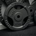 FitNord Vektskive med grep 30 mm, Støpejern 10 kg 2
