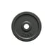 FitNord Vektskive 30 mm, Støpejern 2,5 kg 1