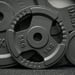 FitNord Vektplate 30 mm, Støpejern 5 kg 2
