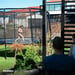 FitNord Bounce Trampoline 430 cm 6