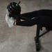 FitNord Multifunksjonell benk 200