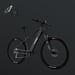 FitNord Ranger 500 Terrengelsykkel 2024, svart (612 Wh batteri/80 Nm)