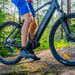 FitNord Ranger 500 elektrisk terrengsykkel (612 Wh batteri)