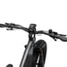 FitNord Rumble 1000 Elfatbike 2024, svart (856 Wh batteri/110 Nm)