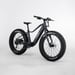 FitNord Rumble 300 Elfatbike 2025, svart