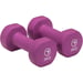 FitNord Vinylhantler 3 kg (par)