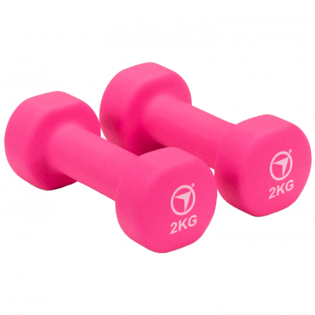 FitNord Vinylhantler 2 kg (par)